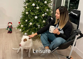 camping_leisure_hammock_chairs KingCamp family camping gear